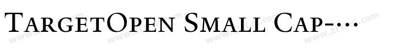 TargetOpen Small Cap字体转换 TargetOpen Small Cap字体转换